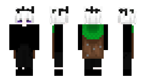 Minecraft skin nrawifa