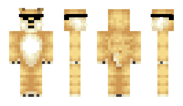 Minecraft skin Doge4
