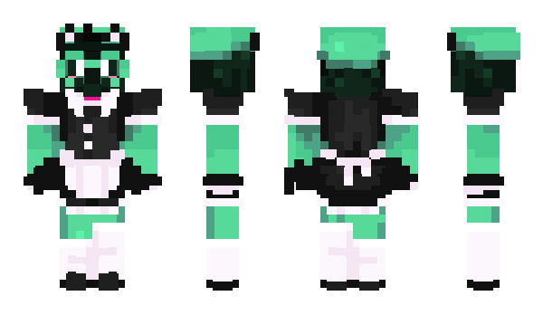 Minecraft skin KCGD