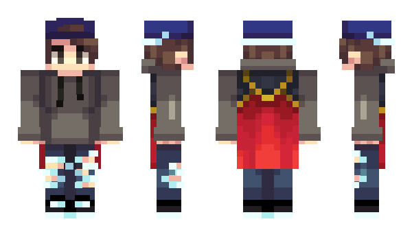 Minecraft skin Zandberg