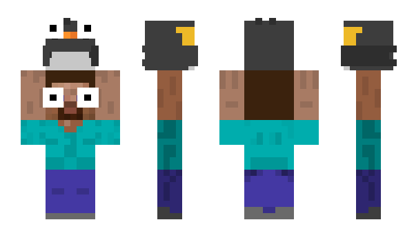 Minecraft skin PourSelection