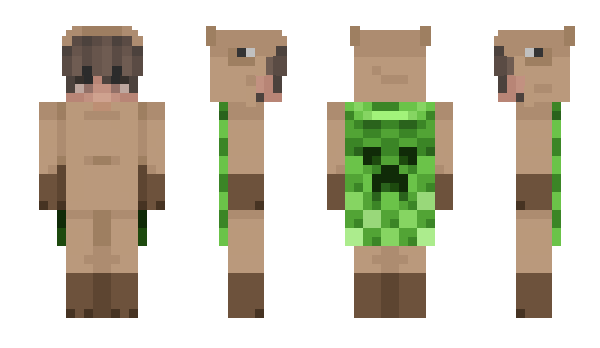 Minecraft skin Okolezko