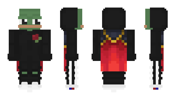 Minecraft skin Hawkology