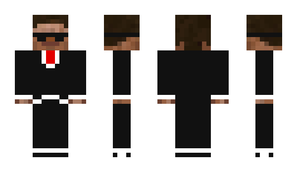 Minecraft skin Sheg