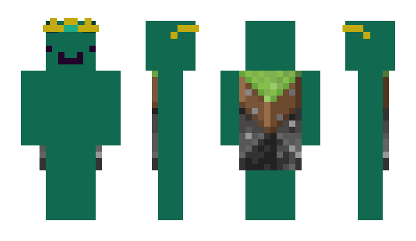 Minecraft skin Timeworthy