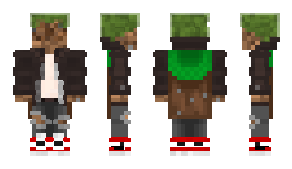 Minecraft skin Leonification