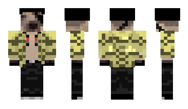 Minecraft skin minecraftreal