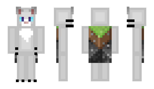 Minecraft skin densdev