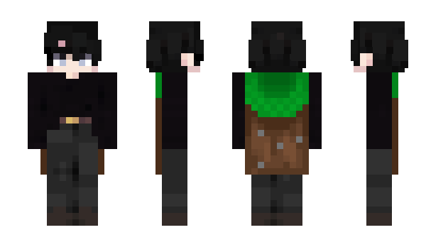 Minecraft skin N5B