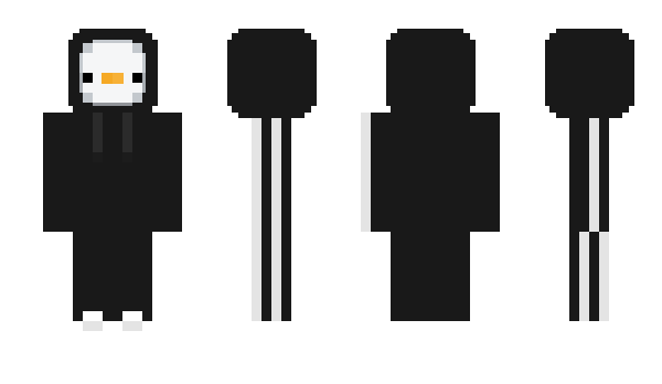 Minecraft skin robinbot