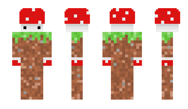 Minecraft skin ParkShare