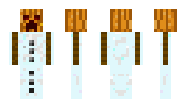 Minecraft skin lordofderps