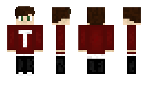 Minecraft skin Taalex