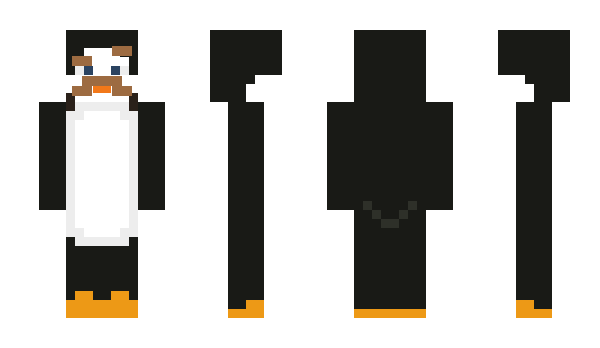 Minecraft skin ccckaeke