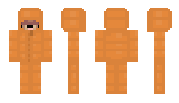 Minecraft skin Poohe