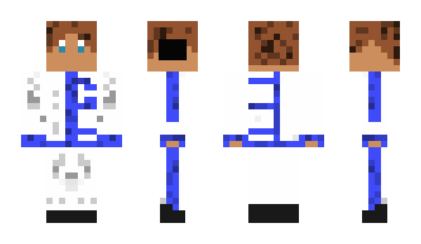 Minecraft skin arnisd