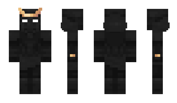 Minecraft skin Intros