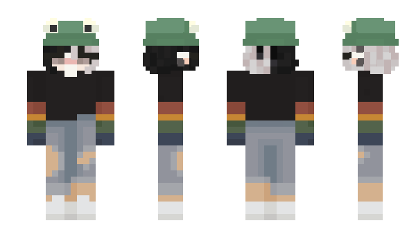 Minecraft skin HANITSU