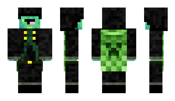 Minecraft skin Void_Turtlez