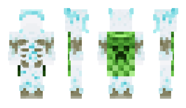 Minecraft skin wahsa