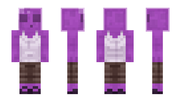 Minecraft skin Solches
