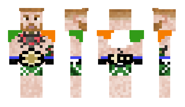 Minecraft skin TheN0torious