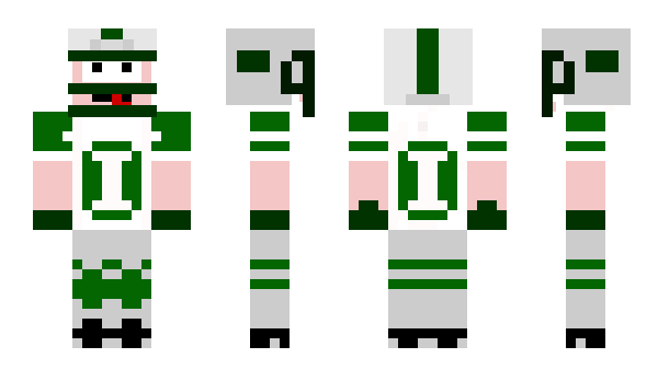 Minecraft skin hquin