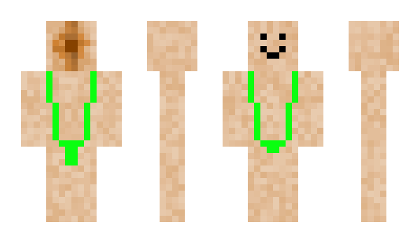 Minecraft skin Neerbeer