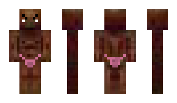 Minecraft skin Telttailijaa