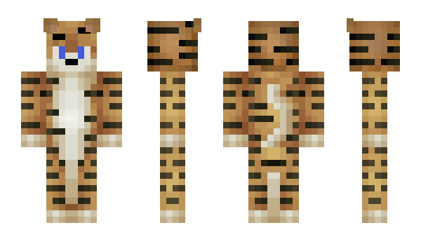 Minecraft skin Pudabaer