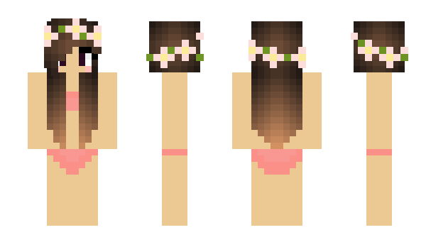 Minecraft skin Hiitler