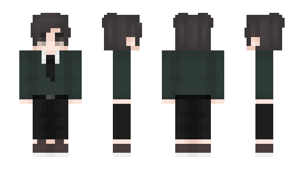 Minecraft skin Slejwik