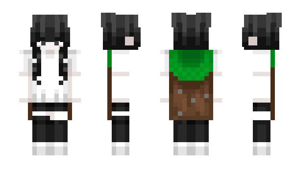 Minecraft skin EvelinaV_rab3