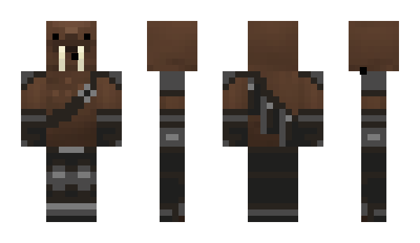 Minecraft skin docwalrus