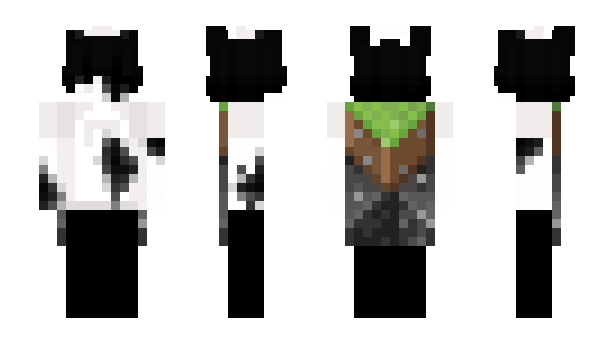 Minecraft скин по нику Evixit