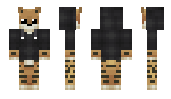 Minecraft skin Duodecil