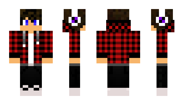 Minecraft skin Minotour