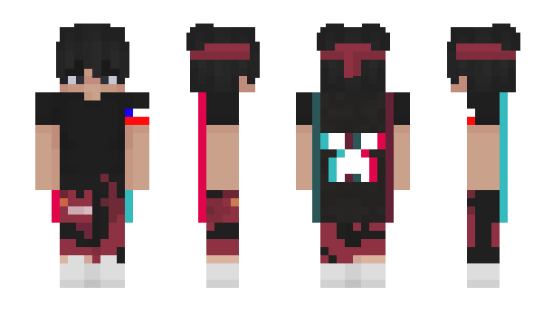 Minecraft skin IIWISS