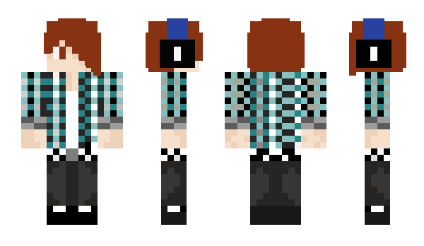 Minecraft skin BeaSam