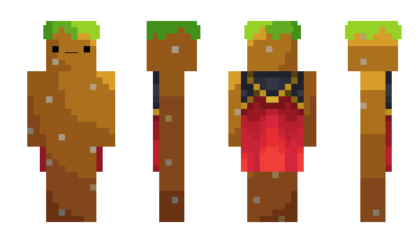 Minecraft skin Xnyy