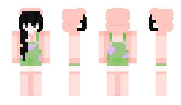 Minecraft skin booshje