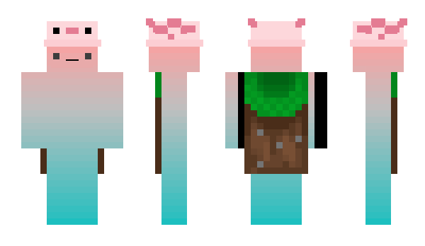 Minecraft skin Starsono