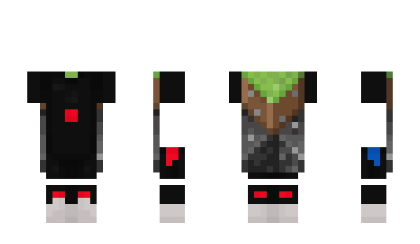 Minecraft skin p_edri