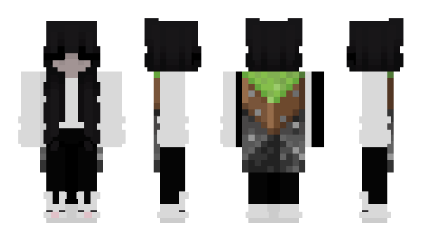 Minecraft skin izvmi