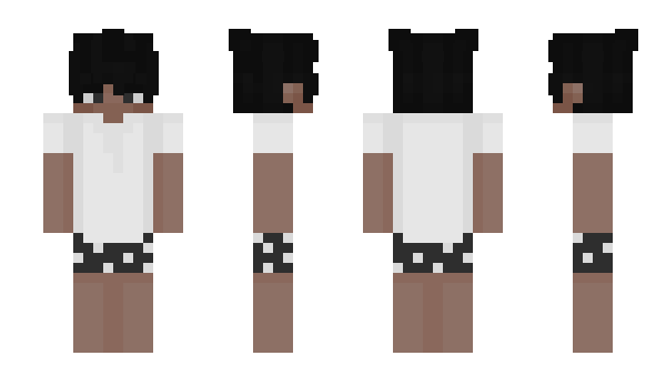 Minecraft skin MrPalliu