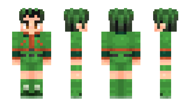 Minecraft skin NaturalLoo