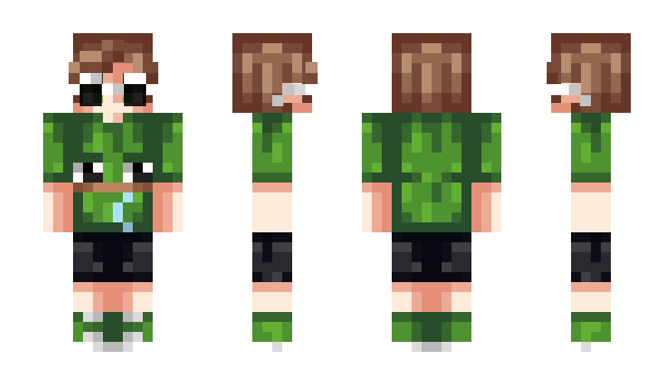 Minecraft skin F3VA1224