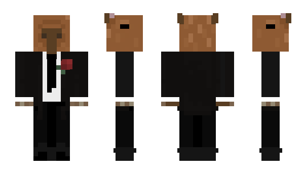 Minecraft skin KT_P