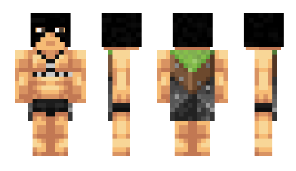 Minecraft skin WWZV