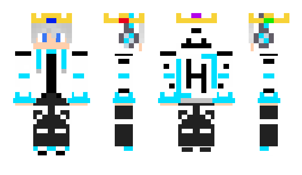 Minecraft skin CDDSSS